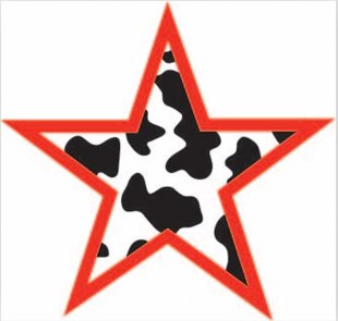 one inches premium Iron On Transfer