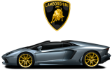 Lamborghini Aventador Rental Iron On Transfer